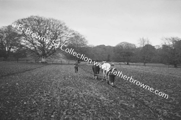 SOWING EARLY WHEAT